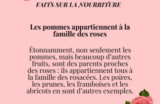 La relation entre les pommes et les roses : le monde des rosacées