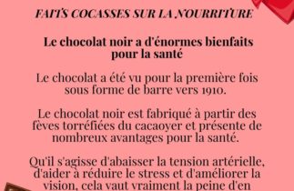 Le chocolat noir et ses vertus santé : tout ce que vous devez savoir