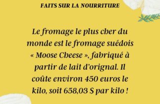 Le fromage suédois « Moose Cheese »: une délicatesse rare et coûteuse
