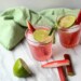 Gin tonic à la rhubarbe : un cocktail rafraîchissant et unique